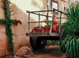 Mexican cart.jpg