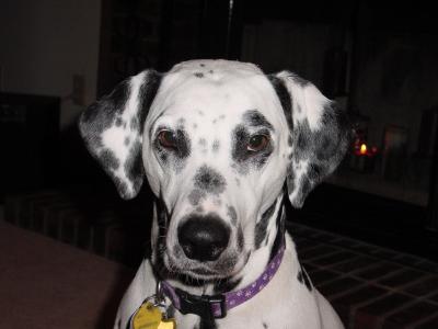 zoe-01.jpg