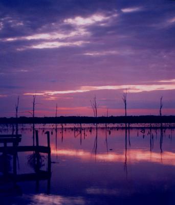 LAKEPALESTINE.BMP