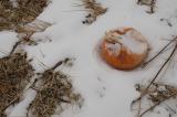 Seasons End