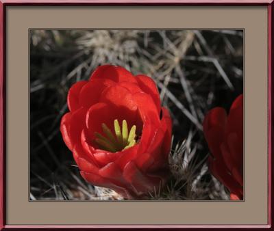 Pins & Needles #8