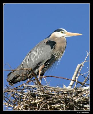 IMG_2182pc.jpg
