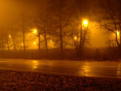 Fog on highway 229