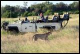 Other guests get a close up view