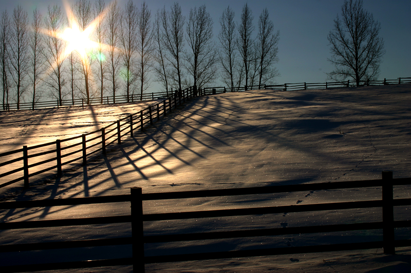 Winter Tour 05.jpg
