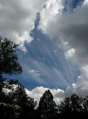 Virga
