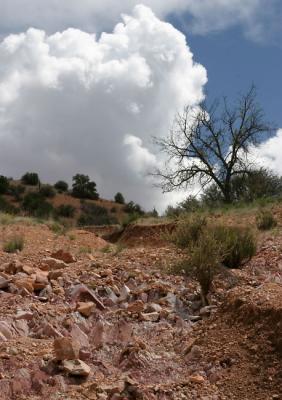 Silver City - Spring 2004