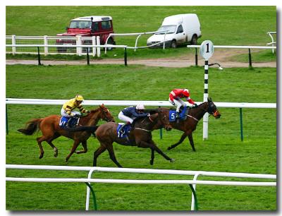 Day at the races.jpg