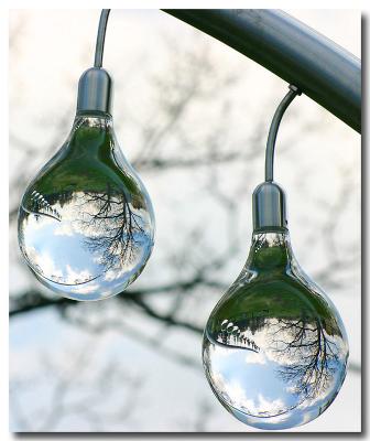 reflections 1.jpg