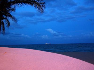 Fort Lauderdale Beach at Night
