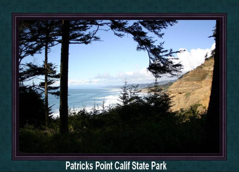 Patricks Point California State Park