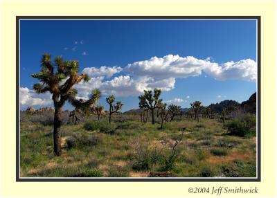 CRW_0119.jpg