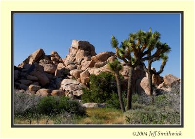 CRW_0120.jpg