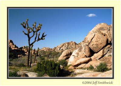 CRW_0124.jpg