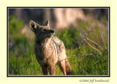 CRW_0174a.jpg