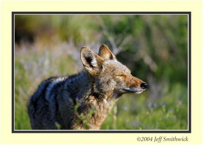 IMG_0166.jpg