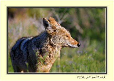 IMG_0168.jpg