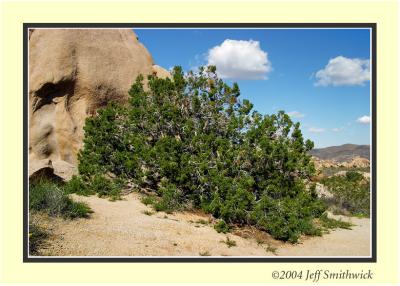 CRW_0084.jpg