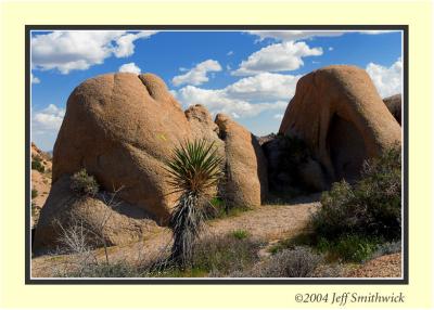 CRW_0096.jpg