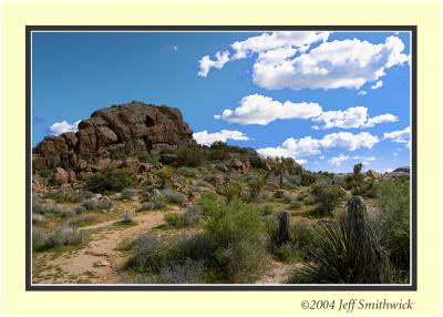 CRW_0088.jpg