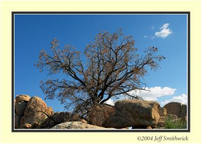 CRW_0132.jpg