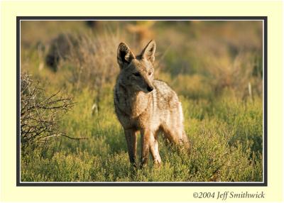 CRW_0220-1.jpg