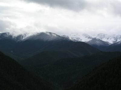 Hurricane Ridge, Olympic National Park