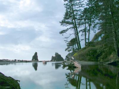 Reflections, Ruby Beach, Washington