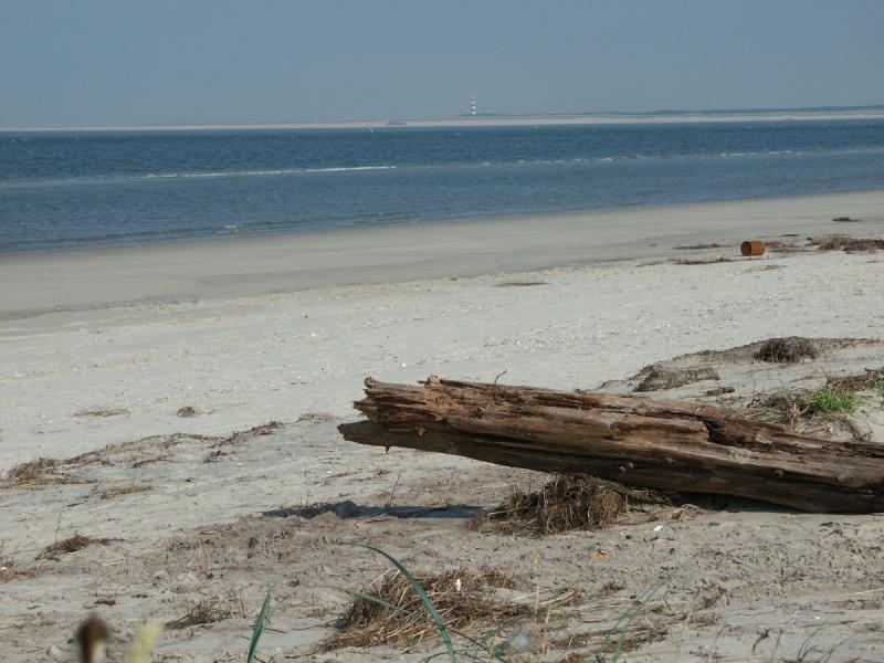 Landgoedkamp Terschelling 2004