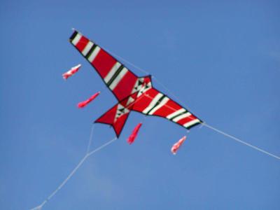 P4100037.jpg