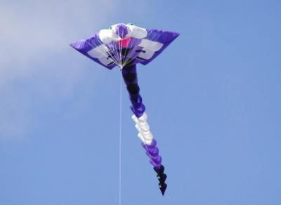 P4100038.jpg