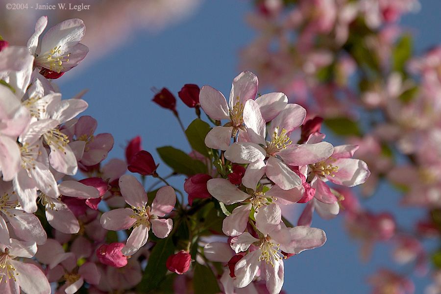 3213.sRGB.jpg