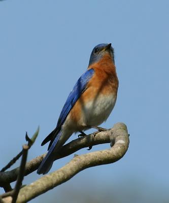 IMG_9365.jpg