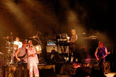The Band -Stage Light