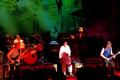 The Band -Stage Light 5