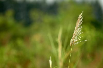 u43/kaijiew/medium/28024849.abstract03.jpg