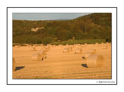 Bales at Sunset