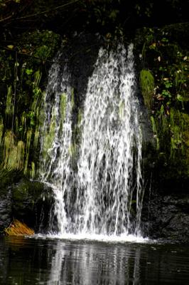 040911 Water Fall