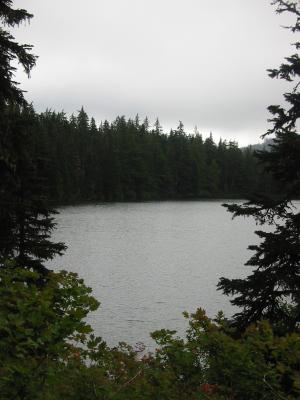 IMG_3117.JPG