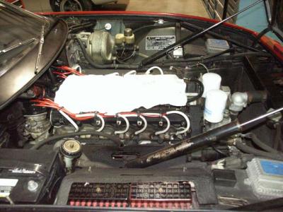 u43/kdh51/medium/28282586.PICT0325sm.jpg