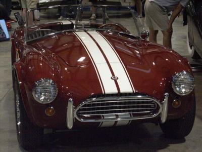 u43/kdh51/medium/28282596.cobra.jpg