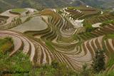 Dragon Backbone Terrace Rice Field, LongJi