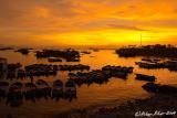 Sunset at Fishing Port, NanAu