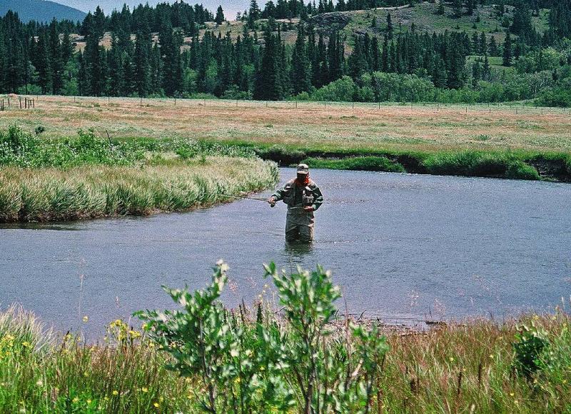 upstream from coleman