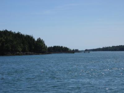 More ferry scenery