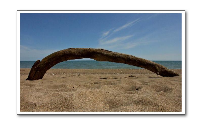Driftwood Arch