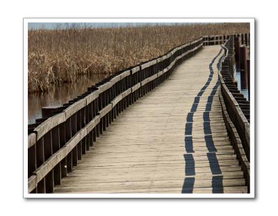 On the boardwalk