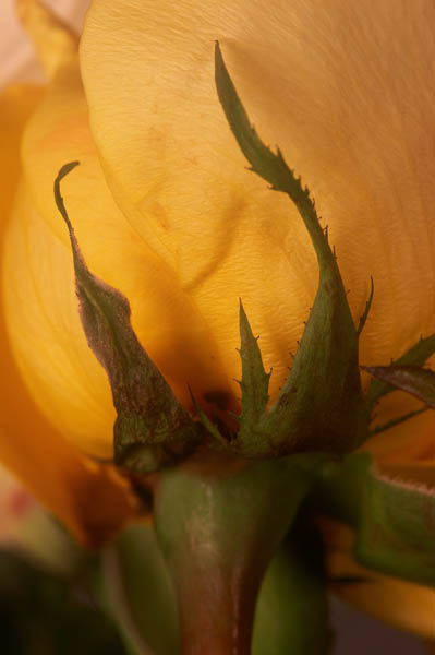 February 12b