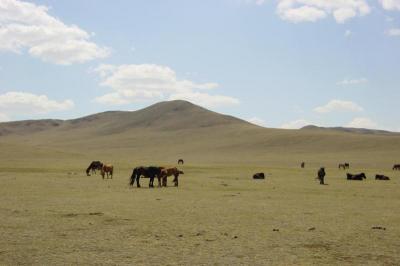 Mongolia 2001