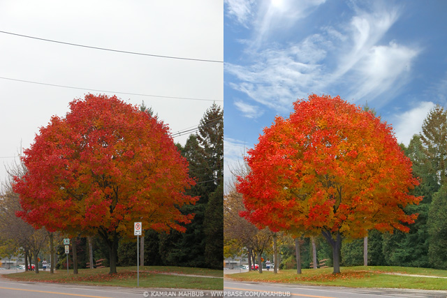 DSCN3883 before and after.jpg